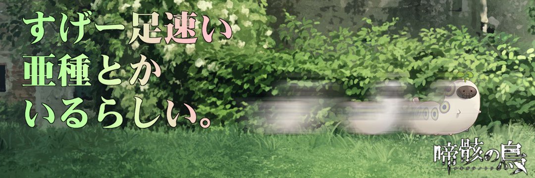 maguromk2's profile banner image