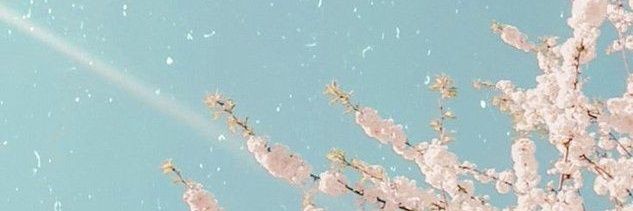 Vervain30's profile banner image