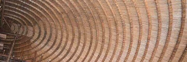 cpmayiga Profile Banner