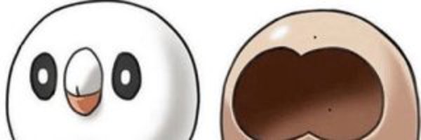 Kwajia3 Profile Banner