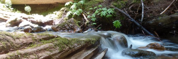 calvin_goligher Profile Banner