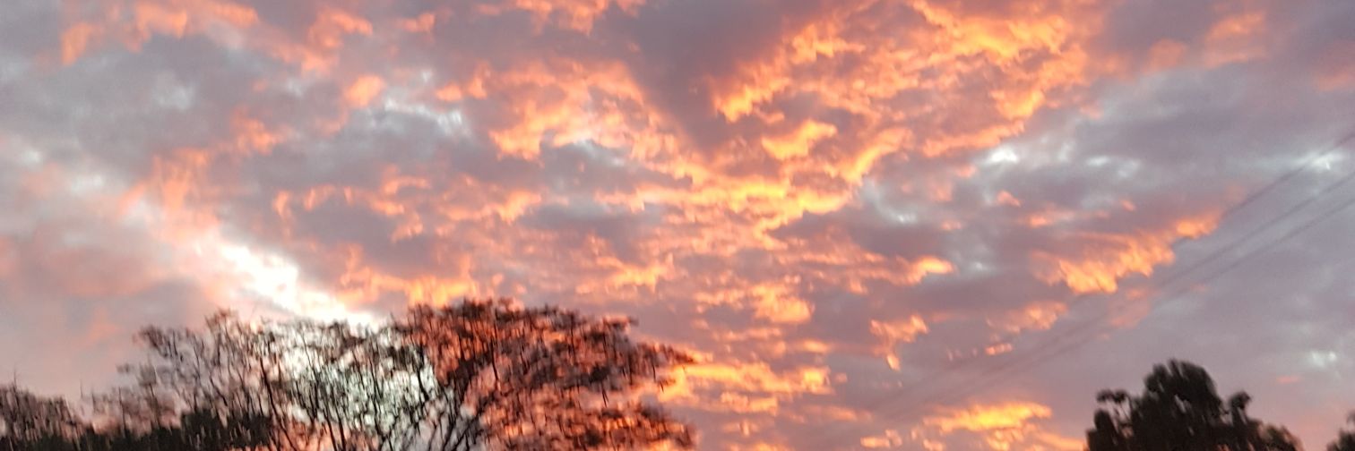 CryptoSurfers banner