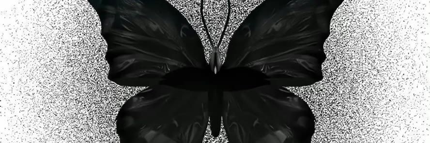 Coco_FiHisigi's profile banner image
