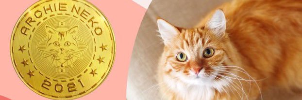 StrangerCrypto1's profile banner image