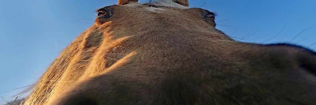 WonderBread 🎨 banner