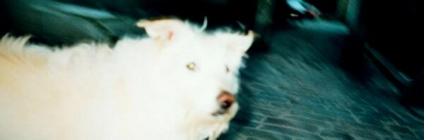 manuelfunk Profile Banner