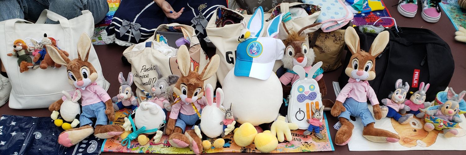 いちほどん🐰 banner