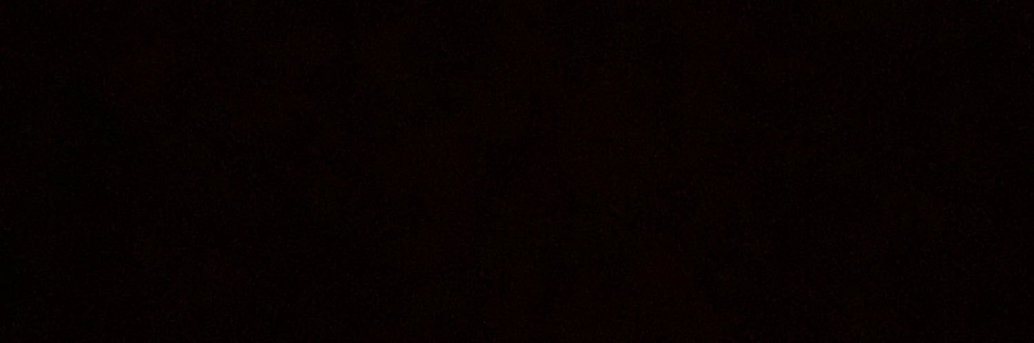 fernandiniieee's profile banner image