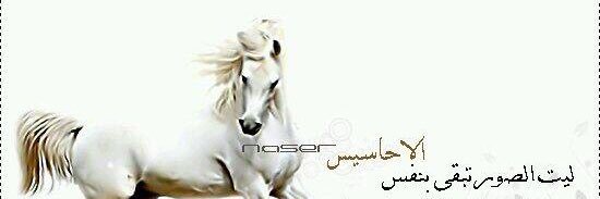Aied778's profile banner image