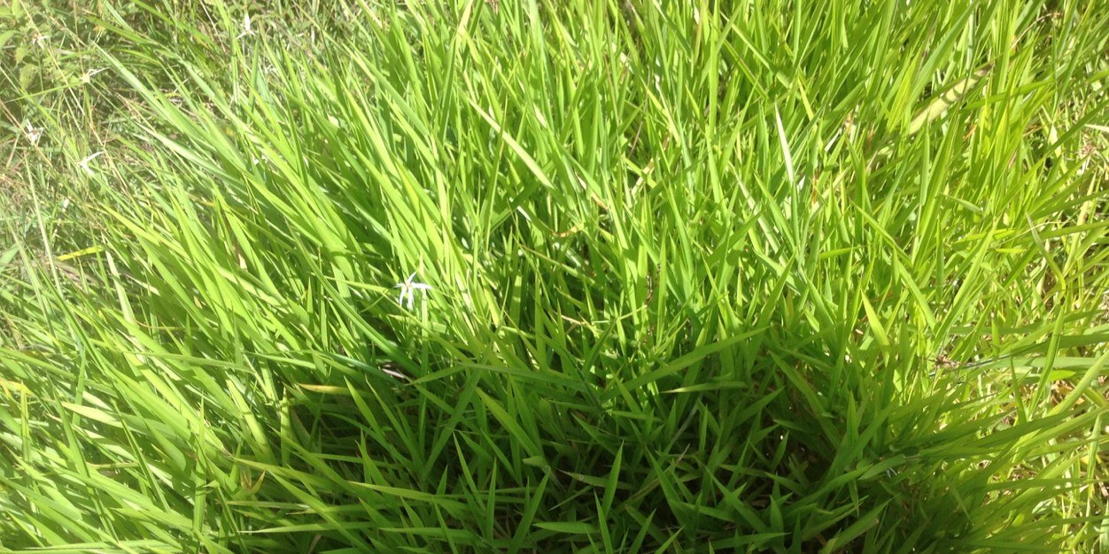 cdmv1's profile banner image