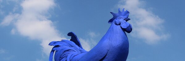 toricls Profile Banner