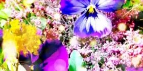 emmiememi's profile banner image