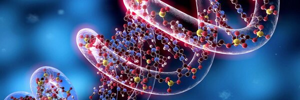 spektrum Profile Banner