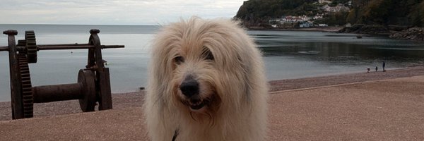 lizardbutts Profile Banner