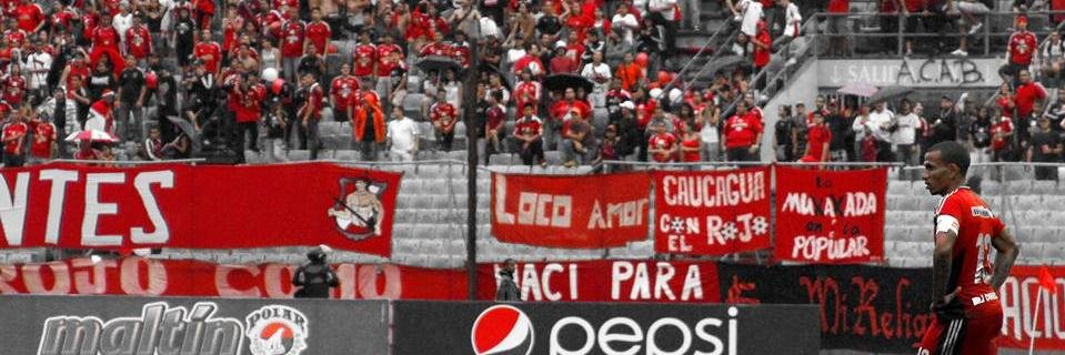 Braulio SoloCcs banner