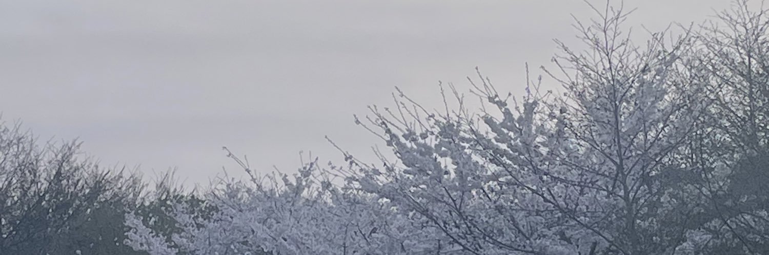 18Jne1's profile banner image