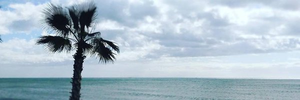 peralt Profile Banner