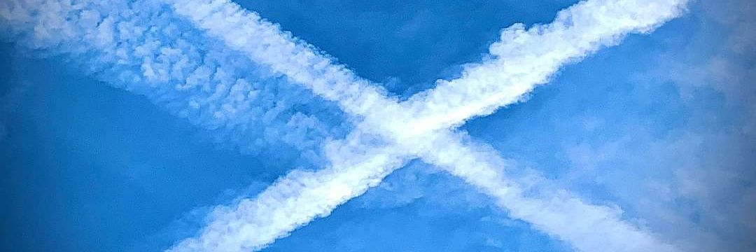 shuggie mcshuggle banner