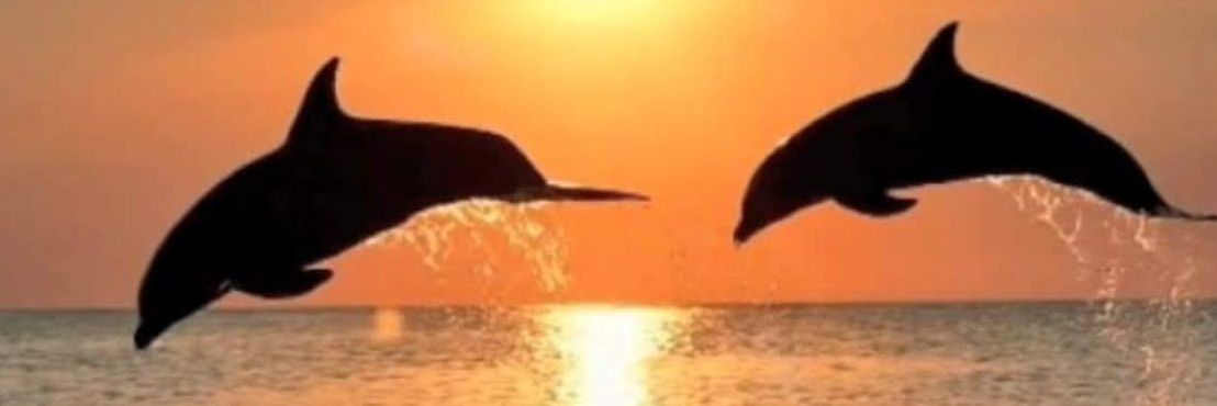 Lone Stenberg 🇩🇰🎗️🇬🇧 🎗️🇺🇸 banner