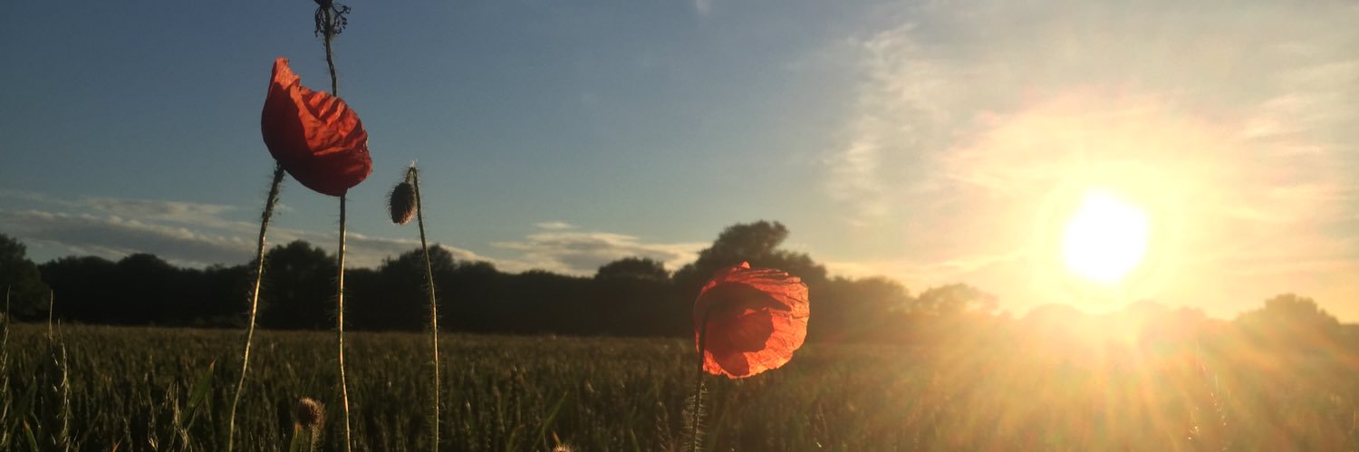 Objective_Truth banner