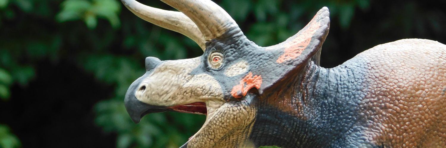 Archieceratops 😼's banner