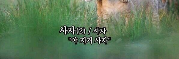 sweet_forevers's profile banner image