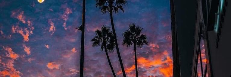 Walila_J's profile banner image