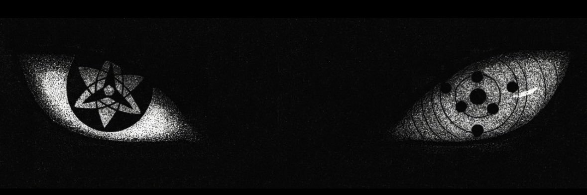 o RAY qu 🐦‍⬛ banner