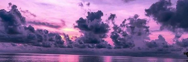 BlueFlamingos7 Profile Banner