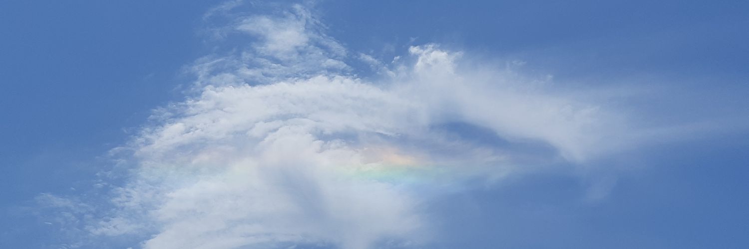 WLMN24's profile banner image