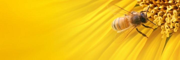 mantulopez's profile banner image