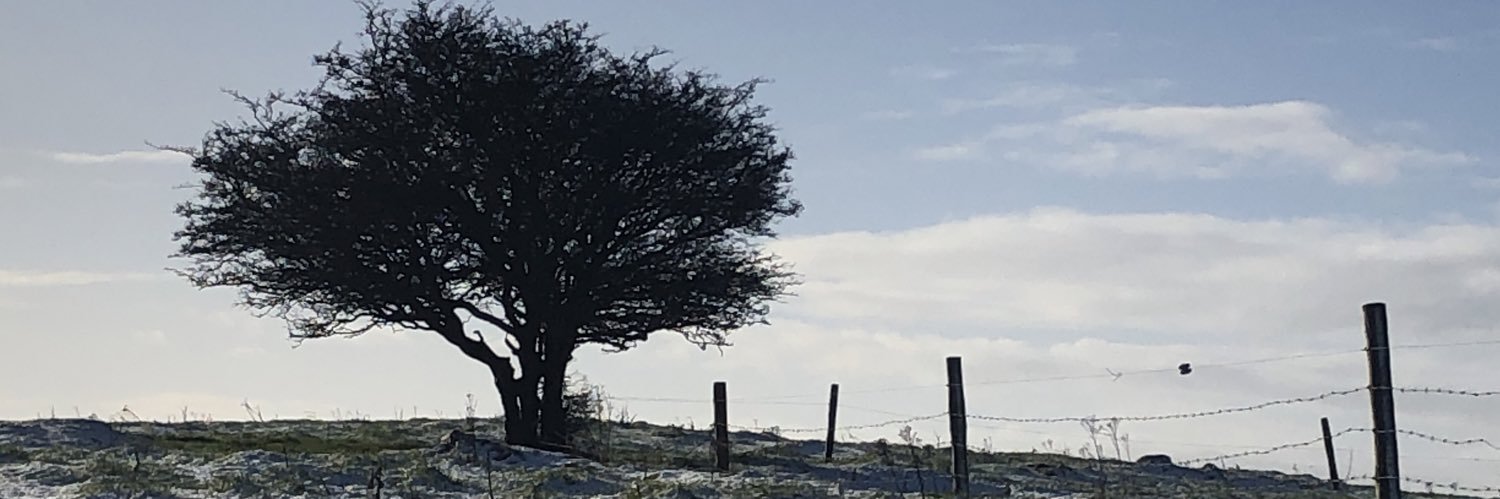 GerMoreau's profile banner image