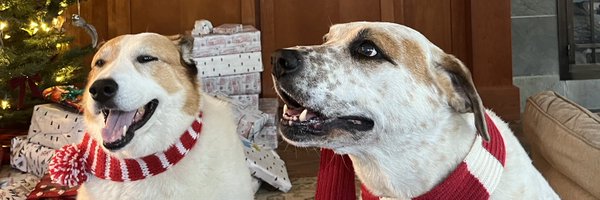 0x_kyle Profile Banner