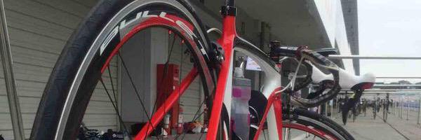 紫苑【sion】 banner