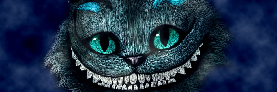 heymeow__'s profile banner image