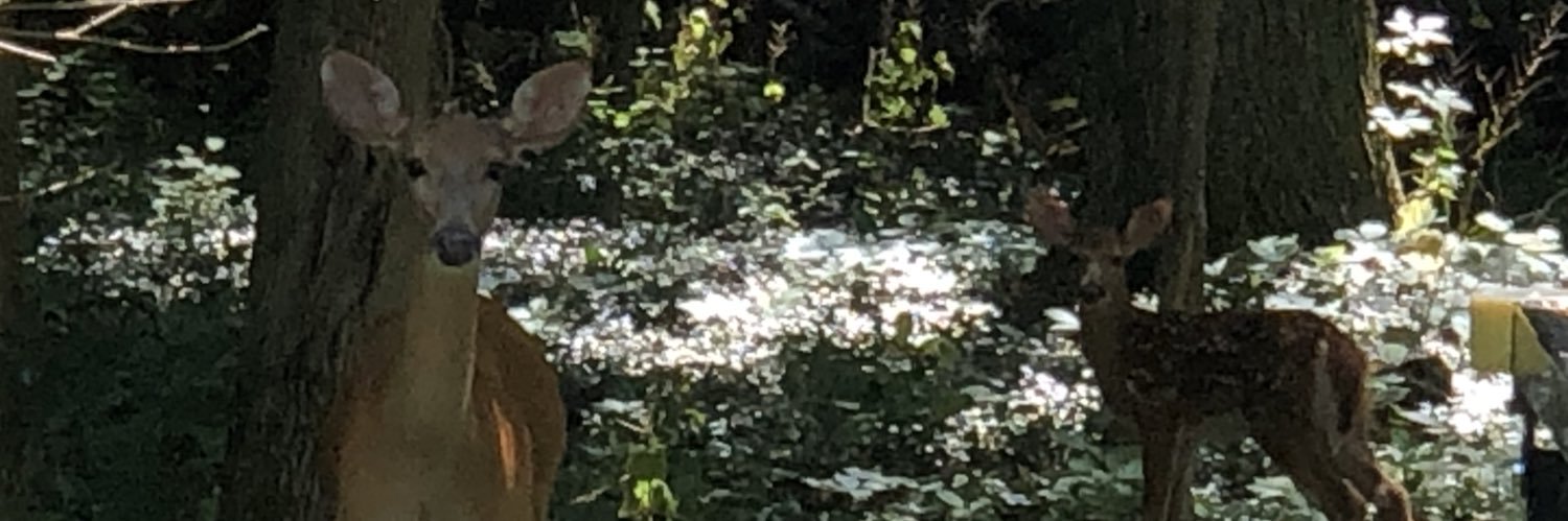jnetk's profile banner image