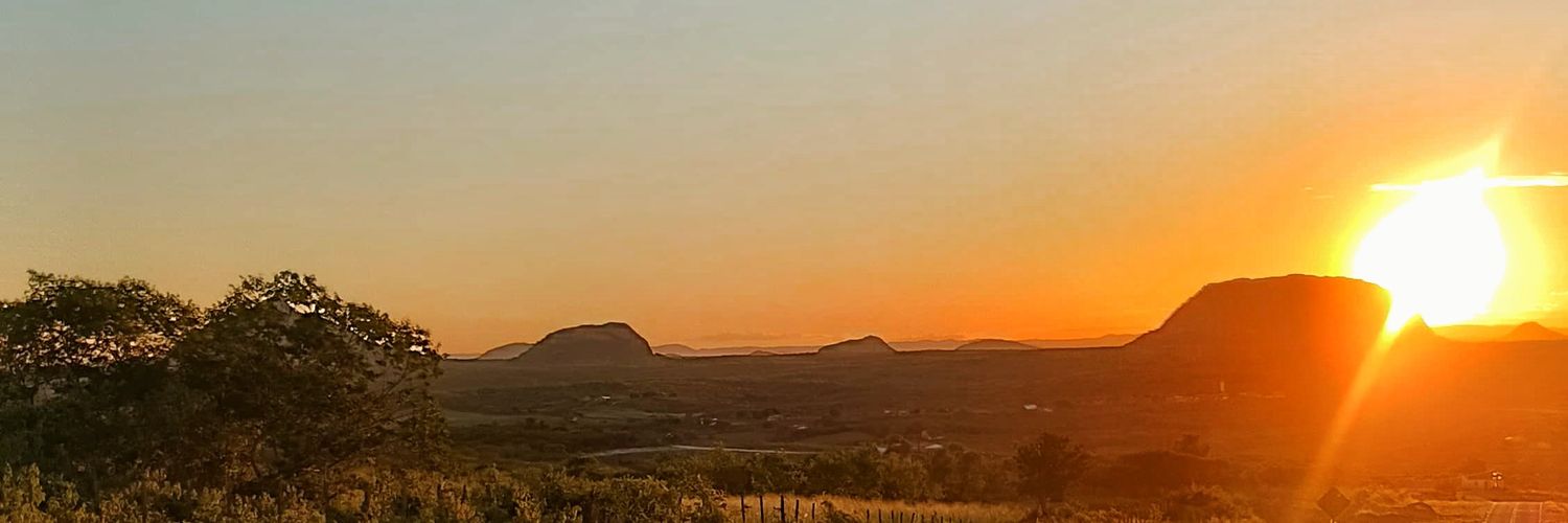 ingridfernandzs's profile banner image