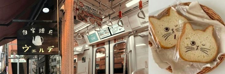 louise 𝜗𝜚 seeing enha .ᐟ banner