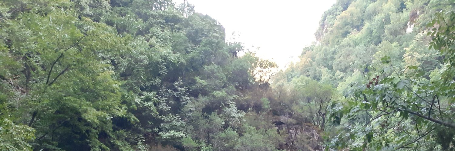 roncirak's profile banner image