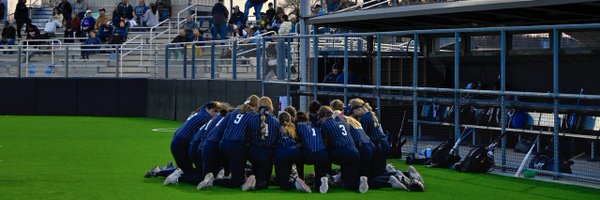 sigridrautapaa Profile Banner