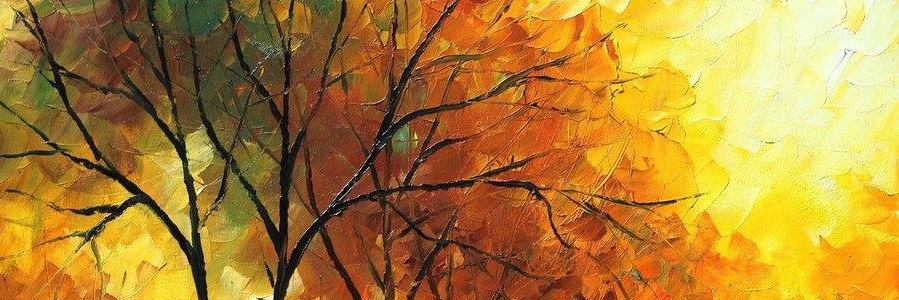 anflopezoc's profile banner image