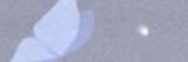 Mimi_11056's profile banner image