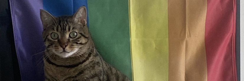 cillicilcil's profile banner image