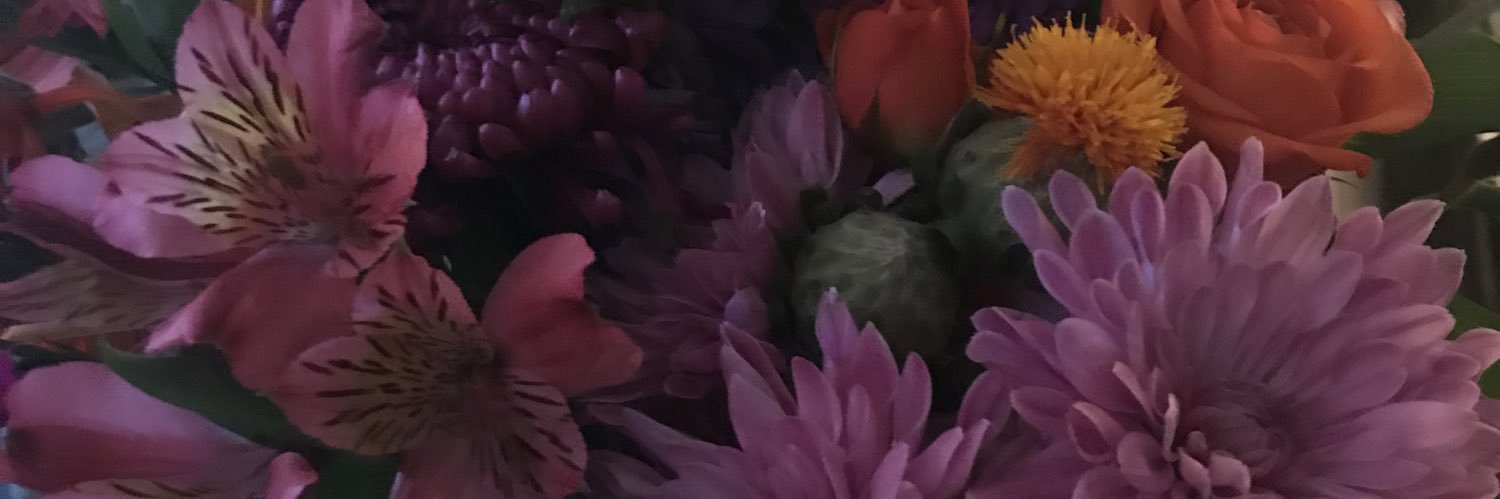 Hadia banner
