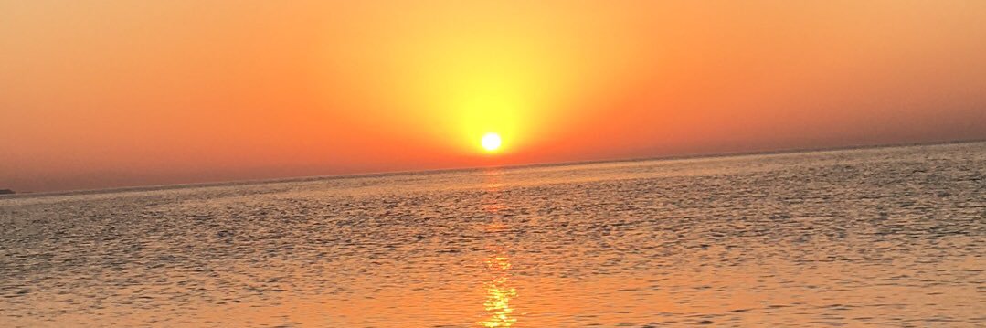 weritas1983's profile banner image