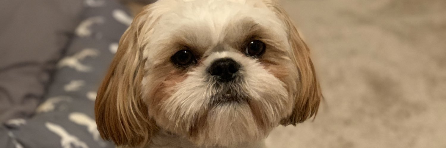 KellyTraxler22's profile banner image