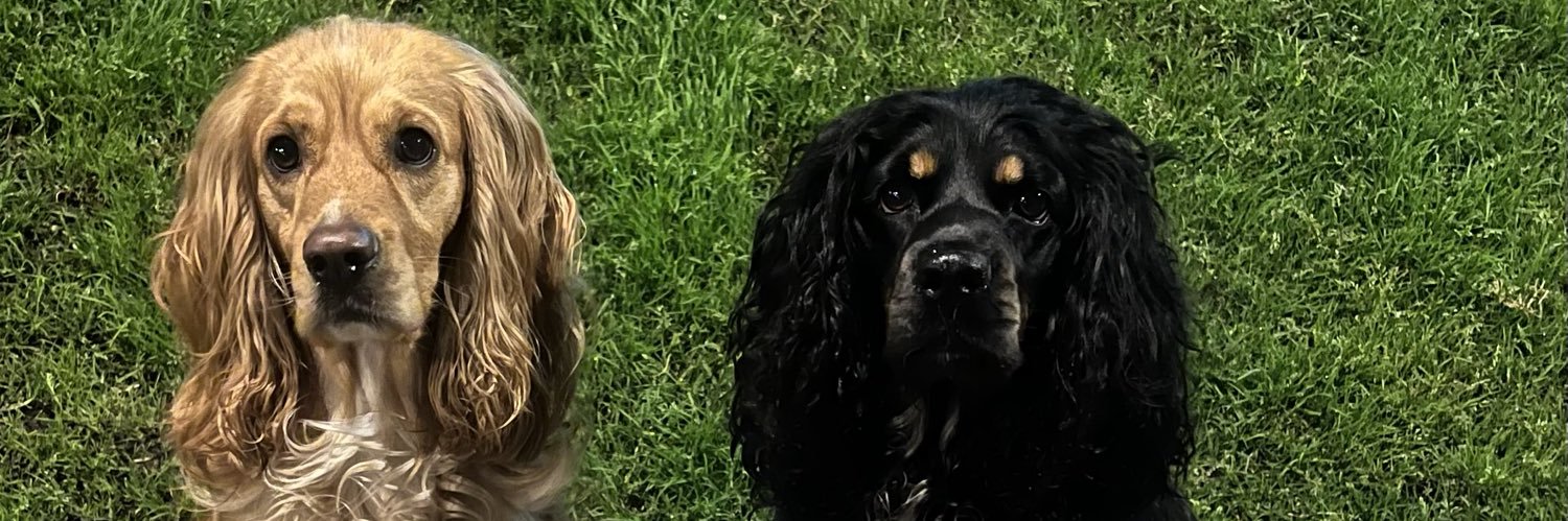 Jackys Schas Mebarak banner