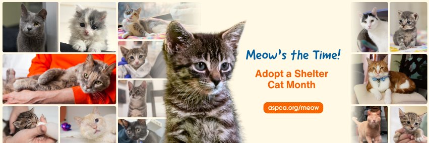 ASPCA's banner