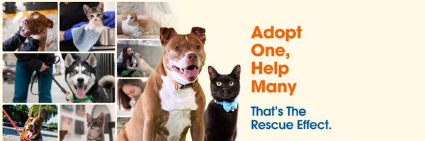 ASPCA Profile Banner