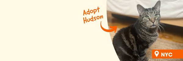 ASPCA Profile Banner